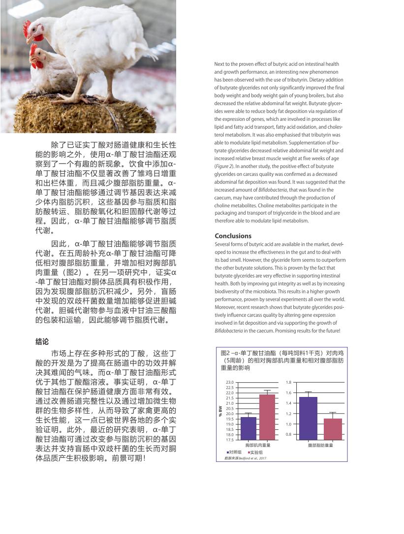 網(wǎng)站文章11.14_02