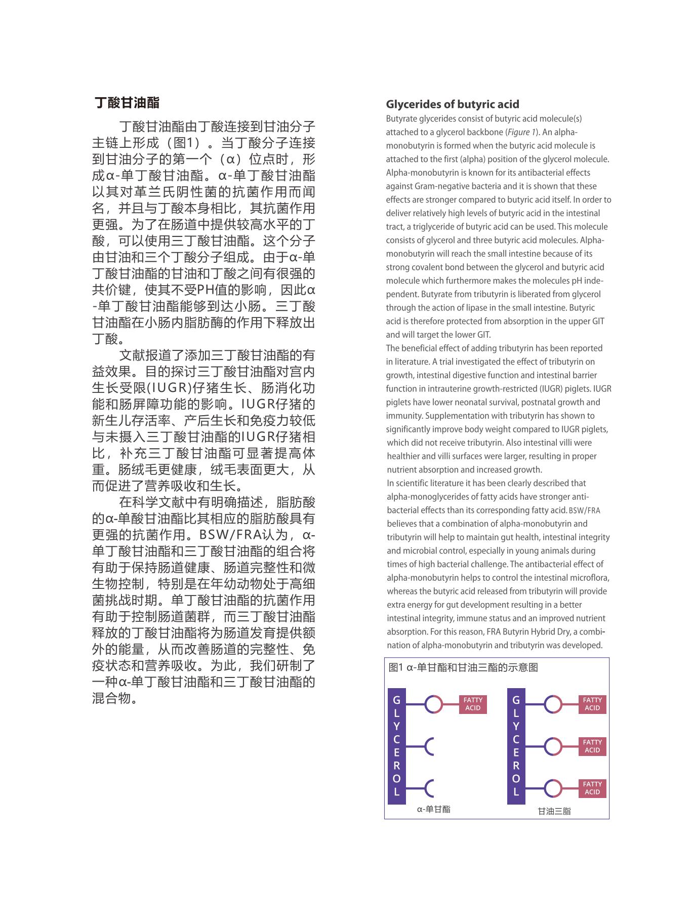 網(wǎng)站文章11.14_07