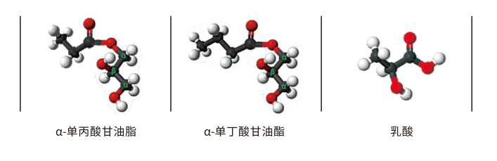圖片 9 圖片 9